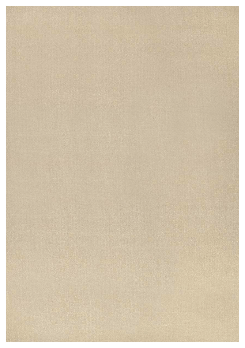 Linen Handwoven Rug _ Natural Flat