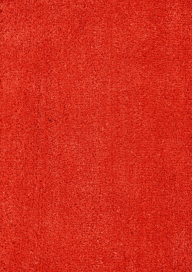 Woolen Handtufted Carpet _ Agni